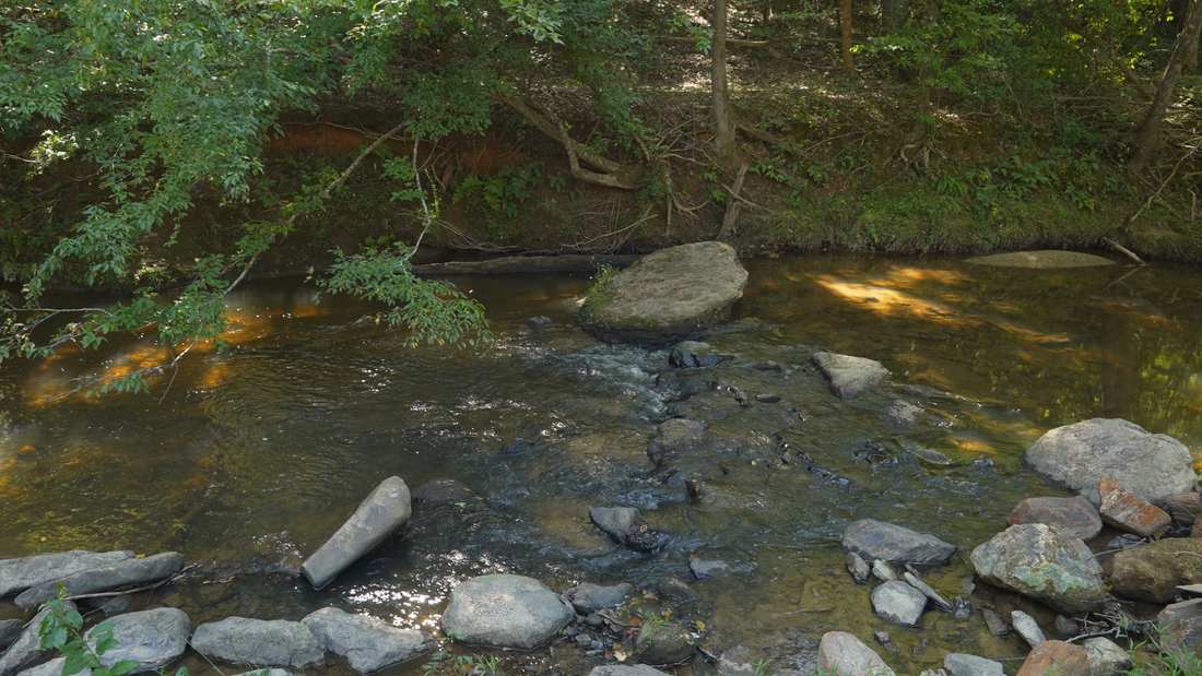Brushy Creek running over granite